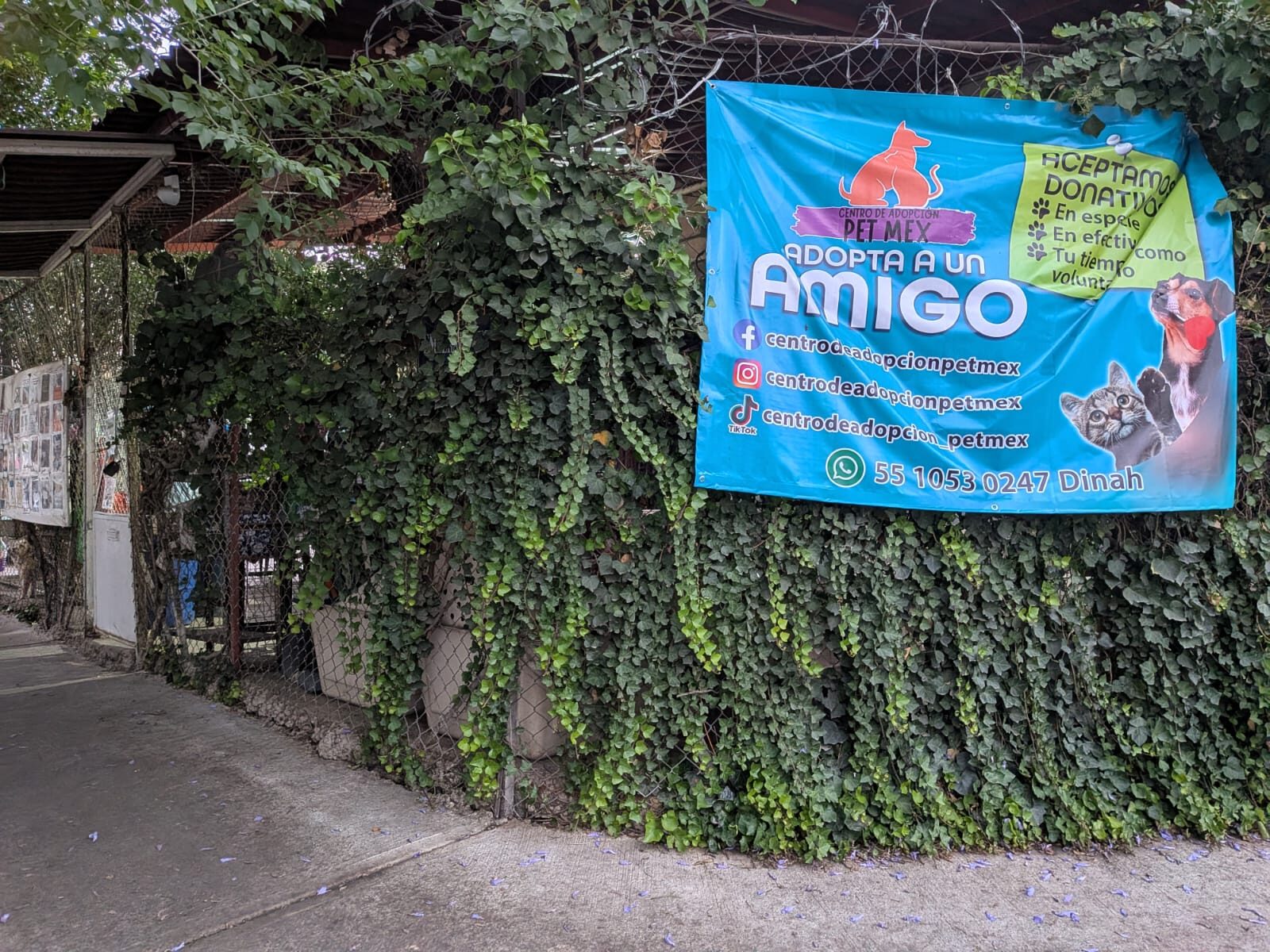 Lona del Centro de Adopción Pet Mex con la convocatoria 'Adopta a un Amigo' y los datos de contacto de Dinah Laureano
